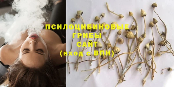 сатива Богданович