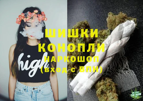 сатива Богданович