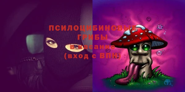 дурь Белоозёрский