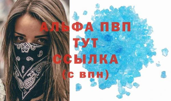 сатива Богданович