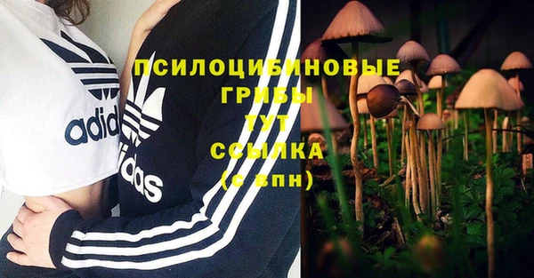 мдпв Беломорск
